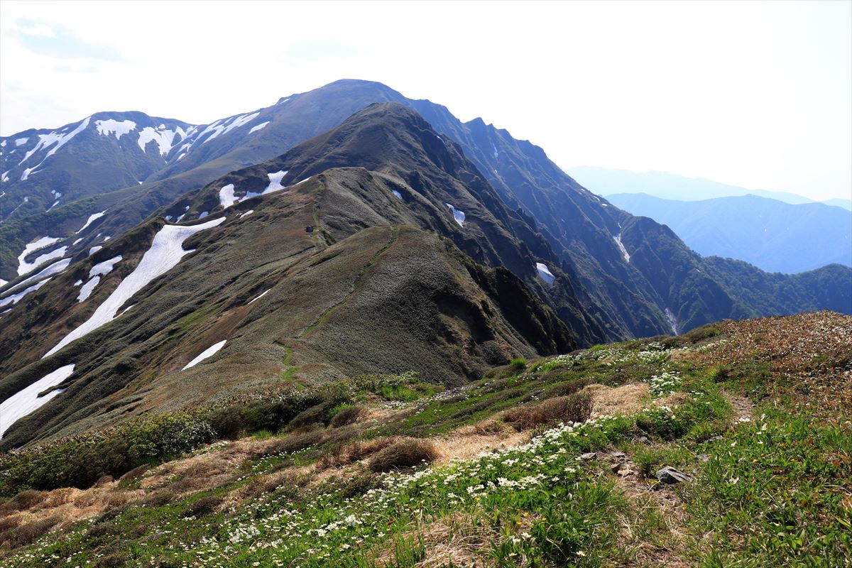 f:id:SISIS:20200615211750j:plain