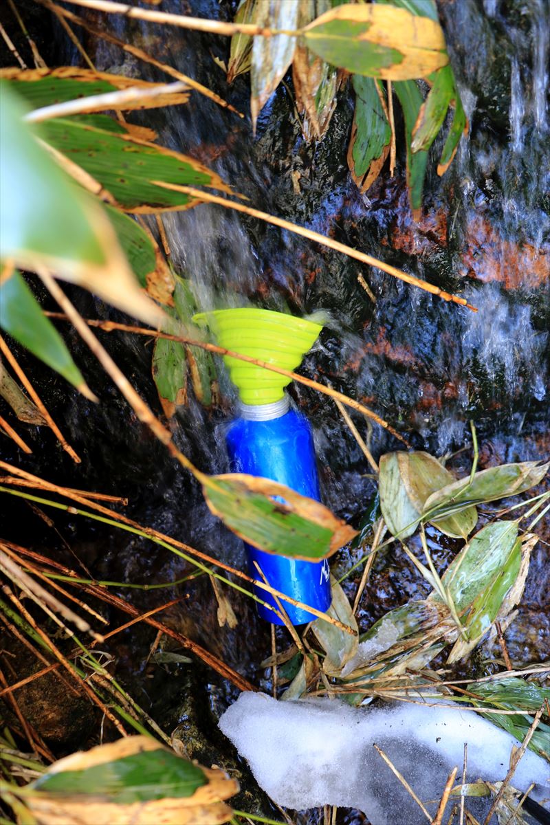 f:id:SISIS:20200615211834j:plain