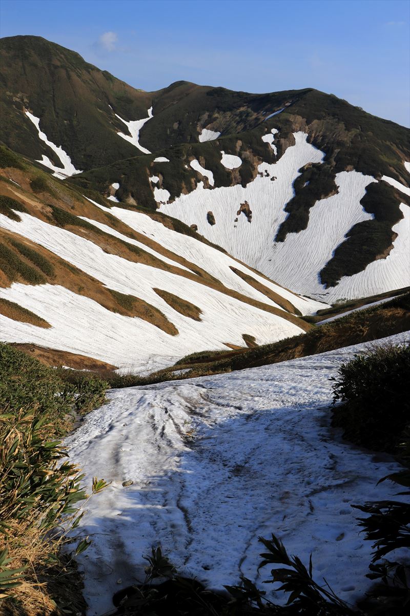 f:id:SISIS:20200615211837j:plain