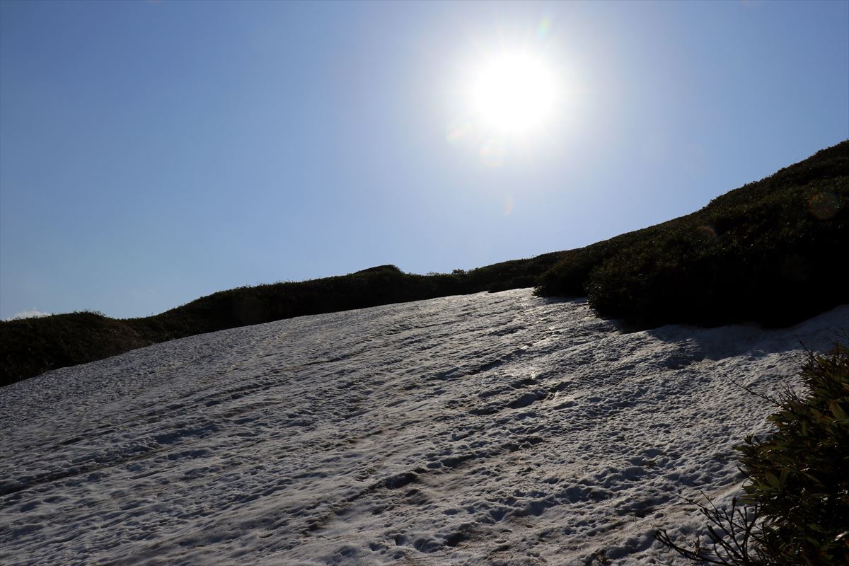 f:id:SISIS:20200615211841j:plain