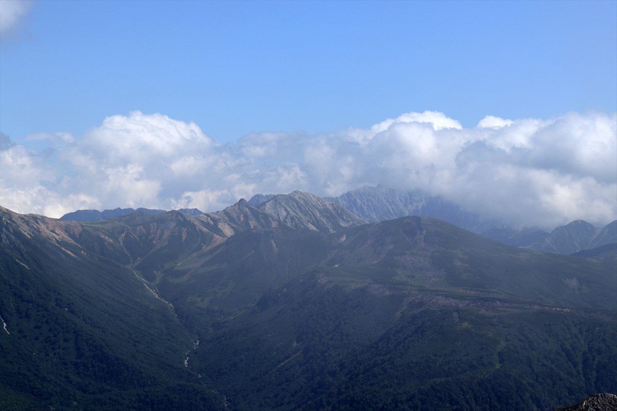 f:id:SISIS:20200831192129j:plain f:id:SISIS:20200831192129j:plain
