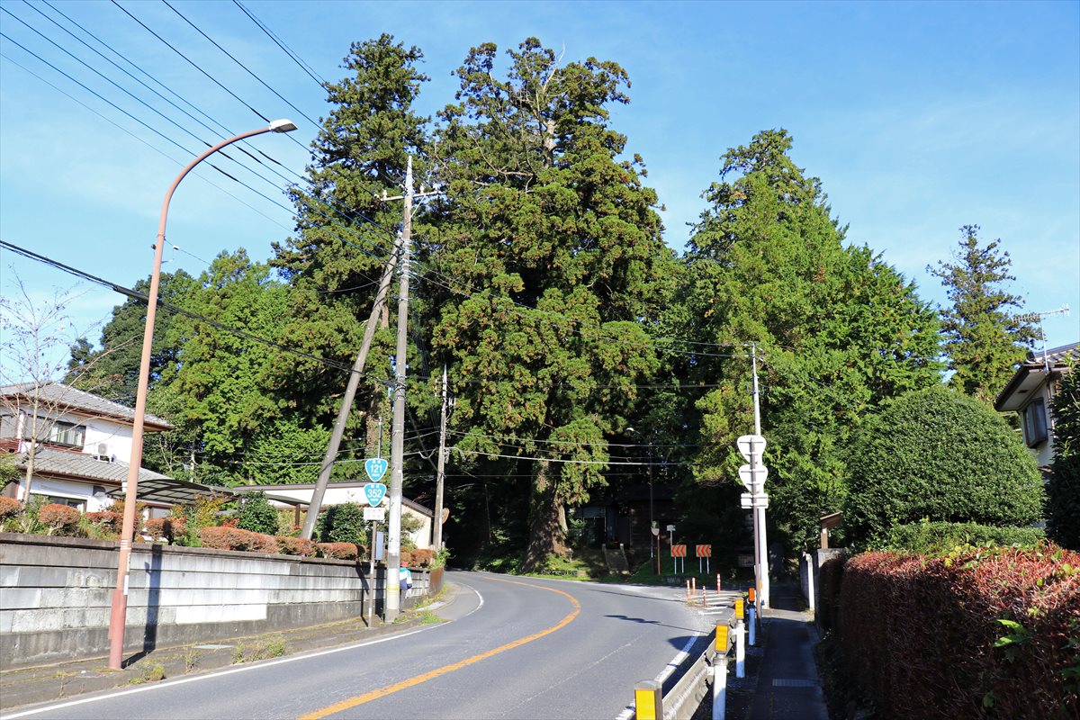 f:id:SISIS:20201106233530j:plain f:id:SISIS:20201106233530j:plain