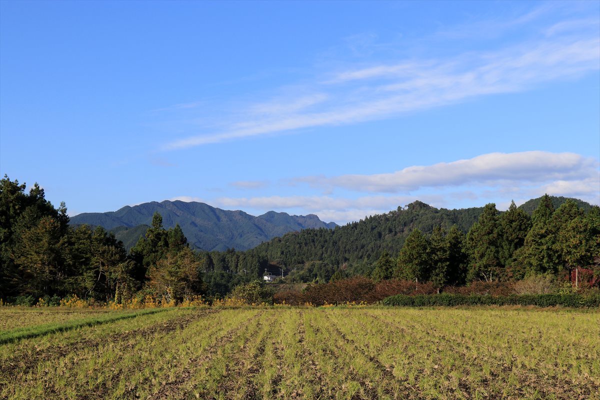 f:id:SISIS:20201106233549j:plain f:id:SISIS:20201106233549j:plain