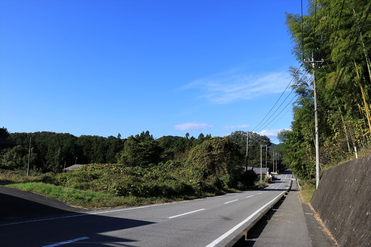 f:id:SISIS:20201106233612j:plain f:id:SISIS:20201106233612j:plain