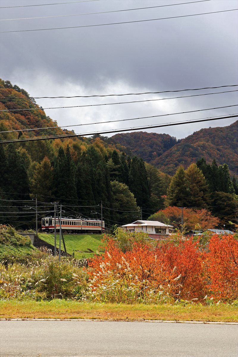 f:id:SISIS:20201106233847j:plain f:id:SISIS:20201106233847j:plain