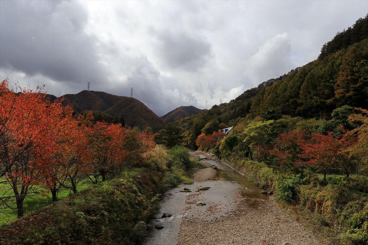 f:id:SISIS:20201106233850j:plain f:id:SISIS:20201106233850j:plain