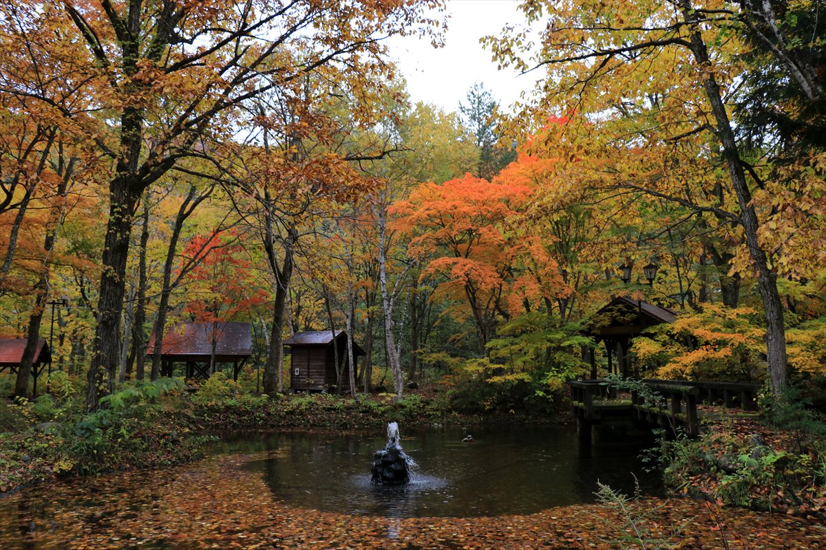 f:id:SISIS:20201106233947j:plain f:id:SISIS:20201106233947j:plain