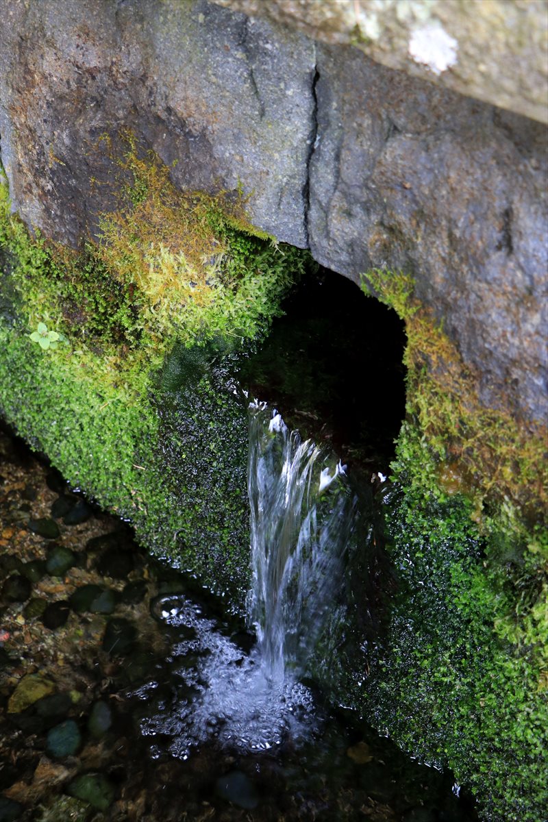 f:id:SISIS:20201106234015j:plain f:id:SISIS:20201106234015j:plain