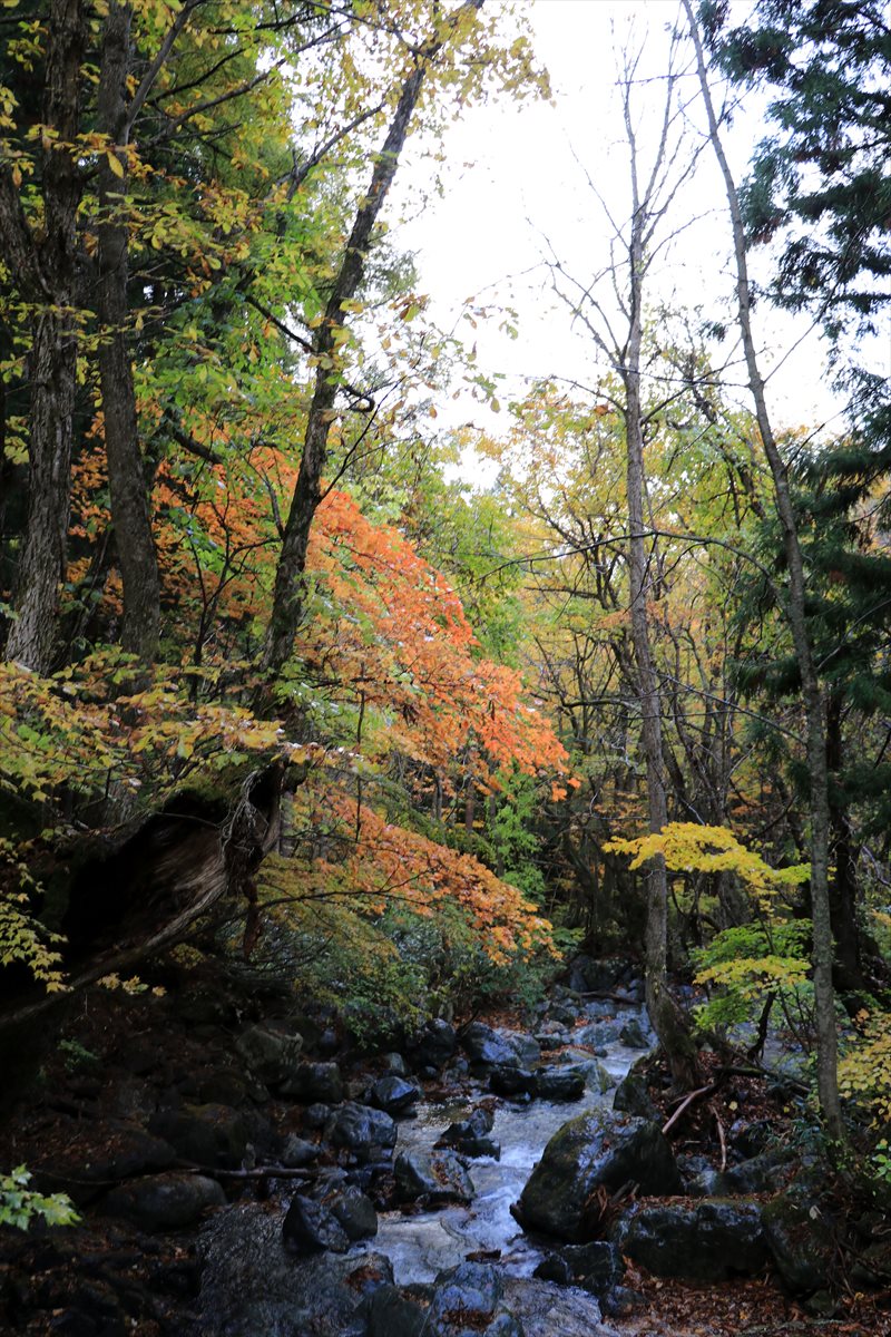 f:id:SISIS:20201106234123j:plain f:id:SISIS:20201106234123j:plain