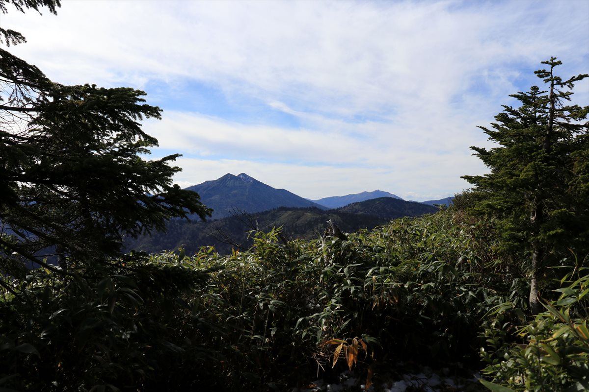 f:id:SISIS:20201107000956j:plain f:id:SISIS:20201107000956j:plain