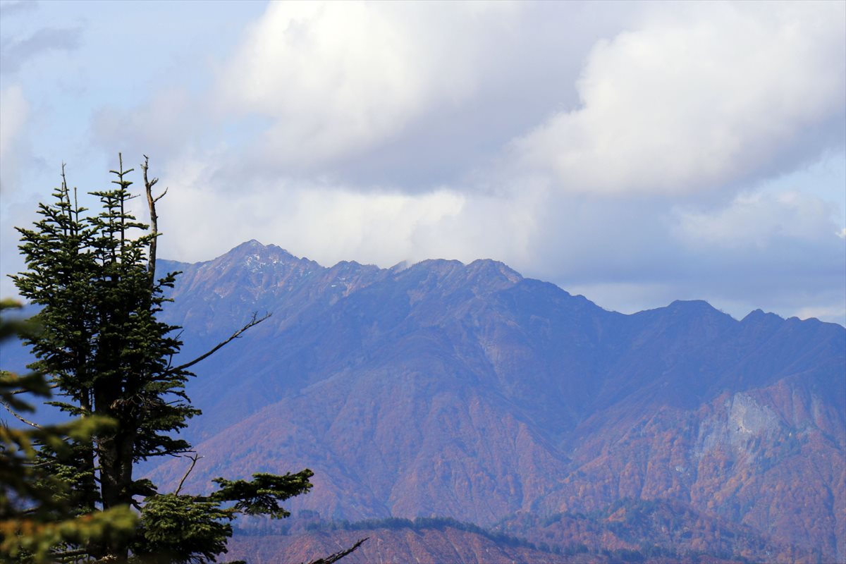 f:id:SISIS:20201107001124j:plain f:id:SISIS:20201107001124j:plain