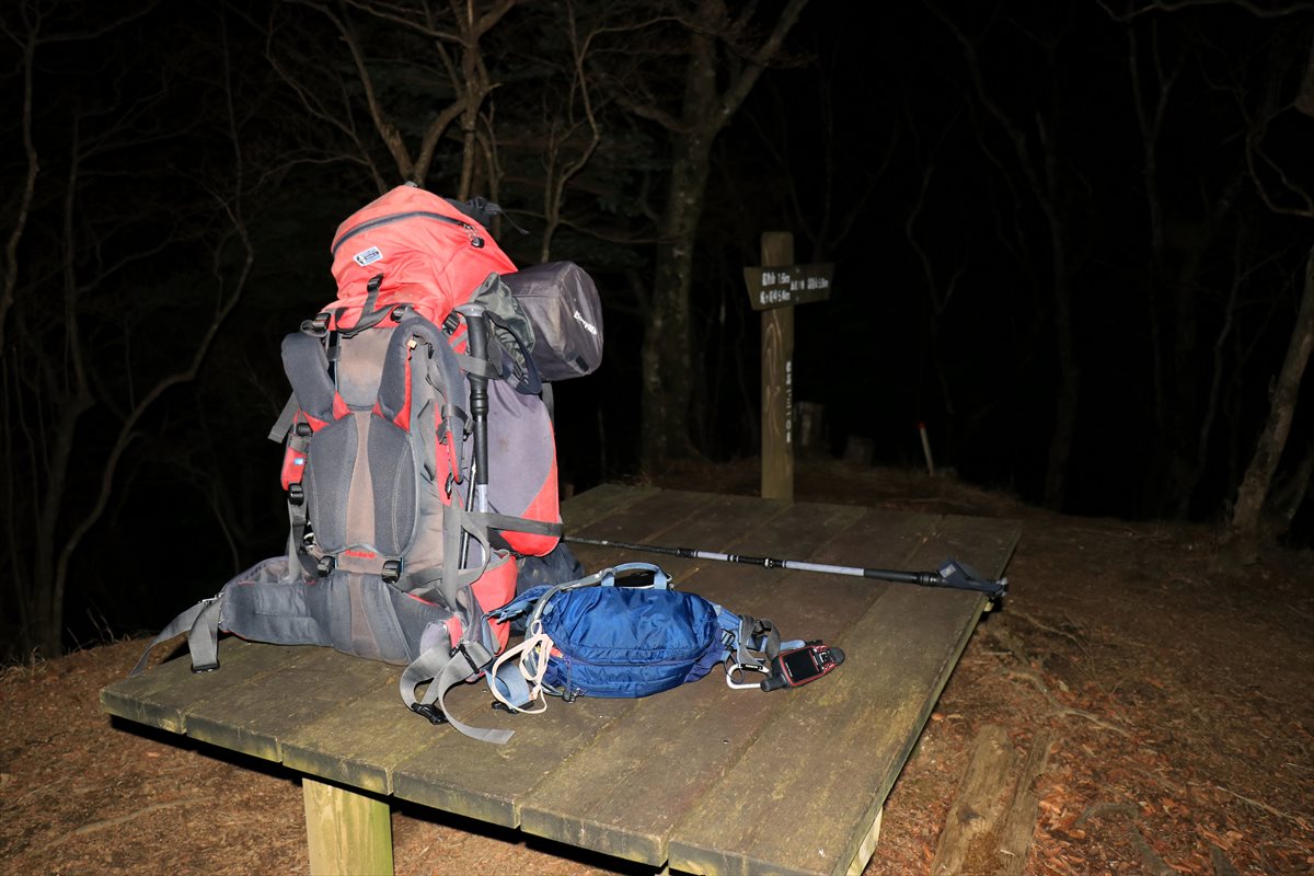 f:id:SISIS:20201209214559j:plain