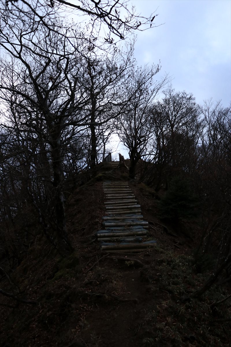 f:id:SISIS:20201209214621j:plain