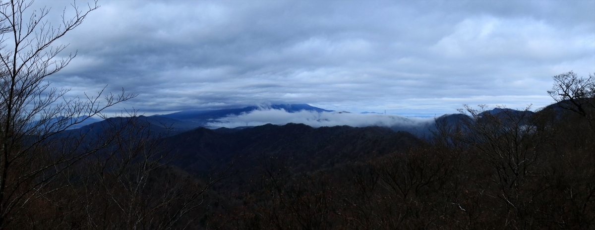 f:id:SISIS:20201209214626j:plain