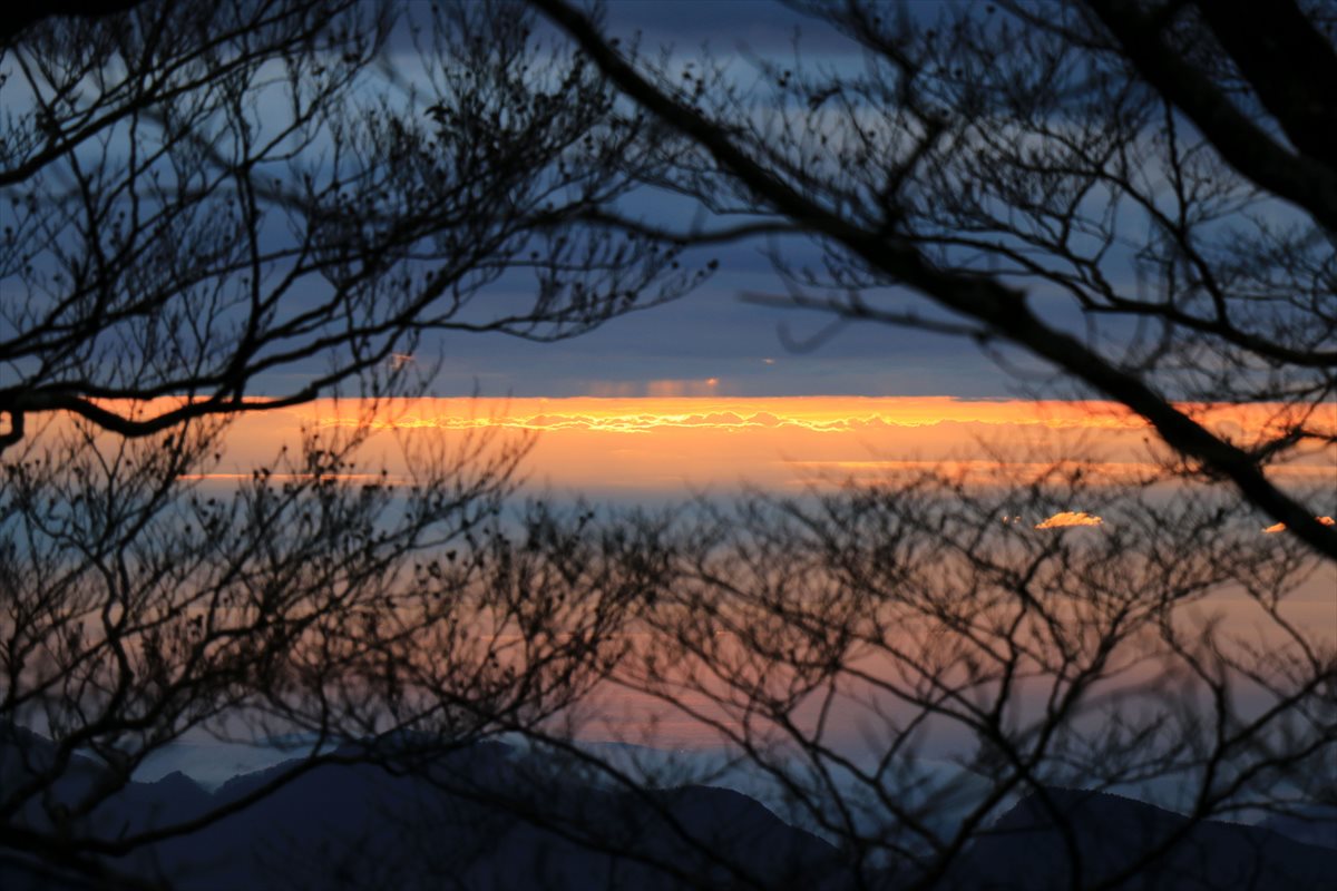 f:id:SISIS:20201209214717j:plain