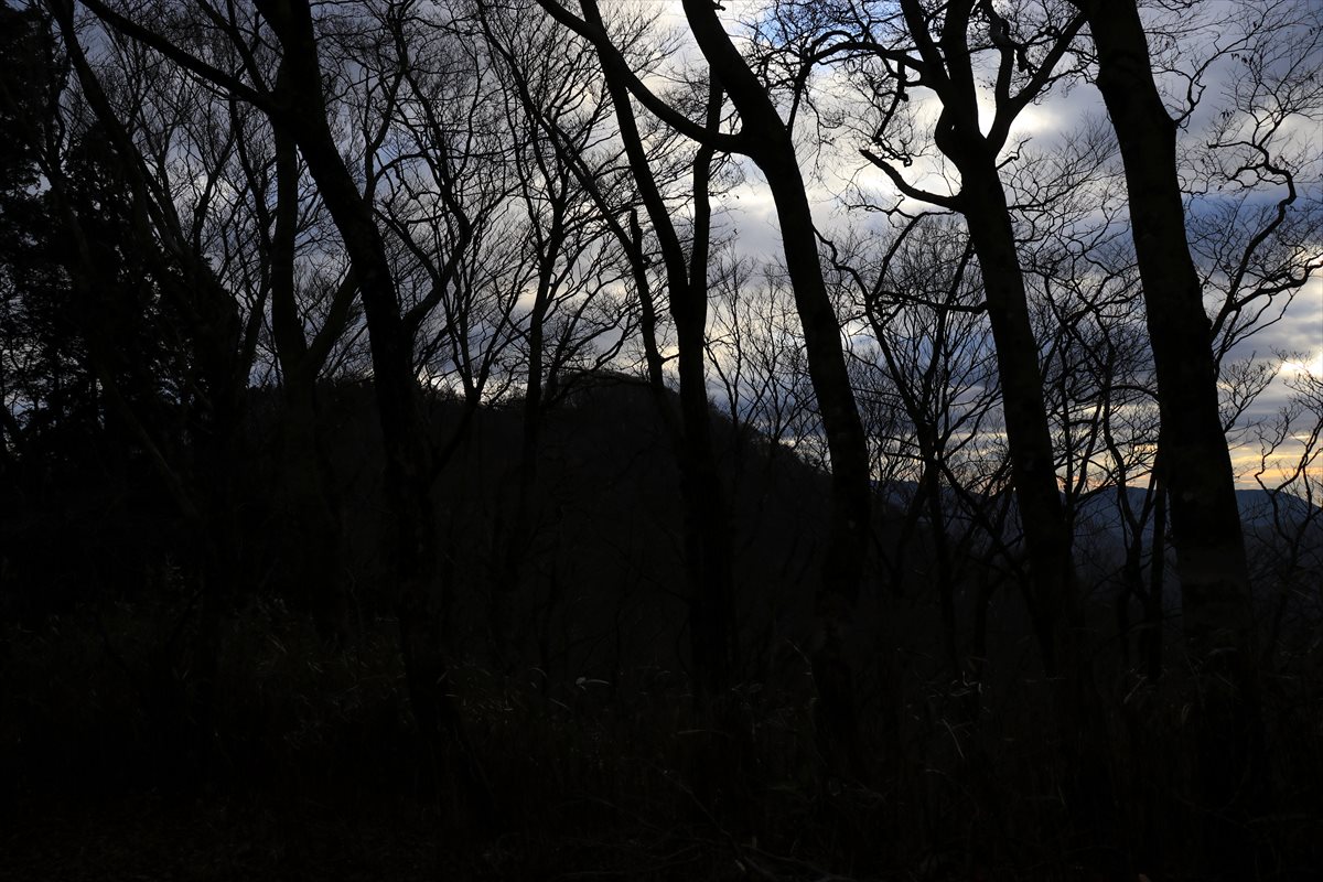 f:id:SISIS:20201209214808j:plain