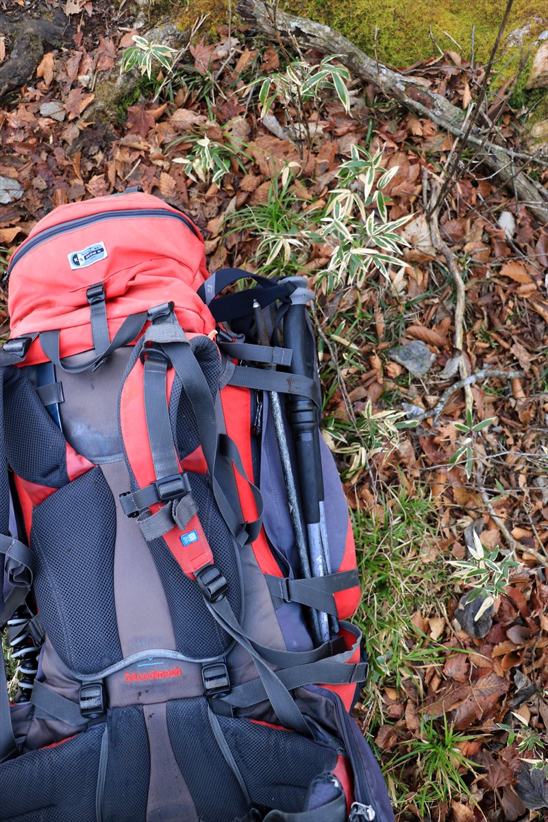 f:id:SISIS:20201209214812j:plain