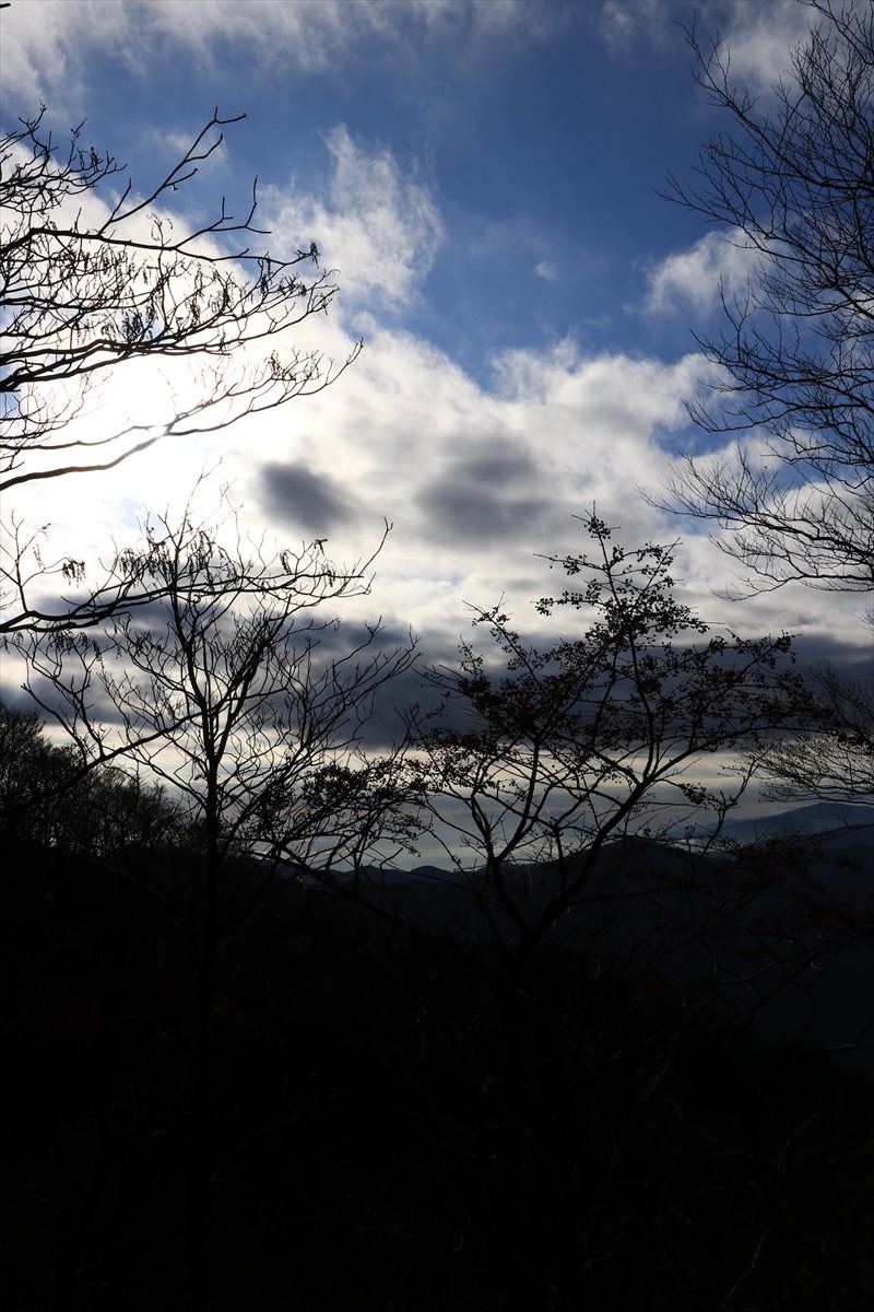 f:id:SISIS:20201209214859j:plain