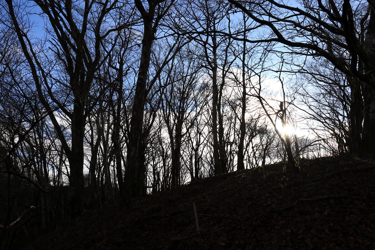 f:id:SISIS:20201209214903j:plain