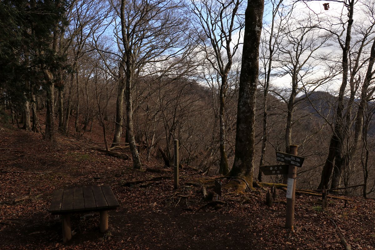 f:id:SISIS:20201209214914j:plain