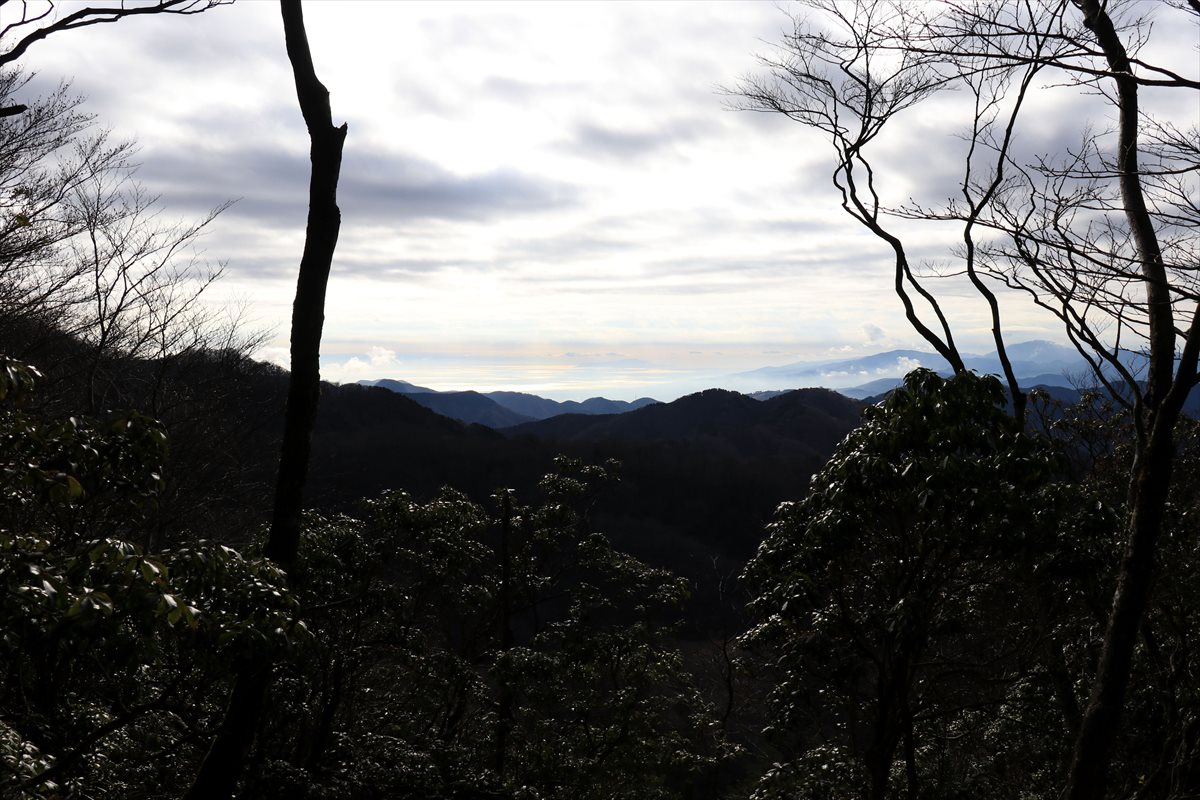 f:id:SISIS:20201209215007j:plain