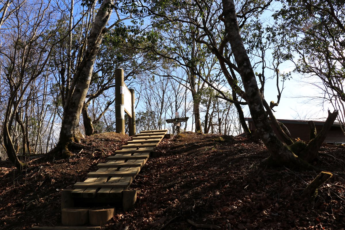 f:id:SISIS:20201209215100j:plain