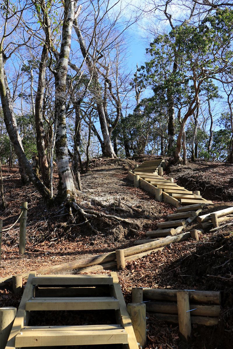 f:id:SISIS:20201209215104j:plain