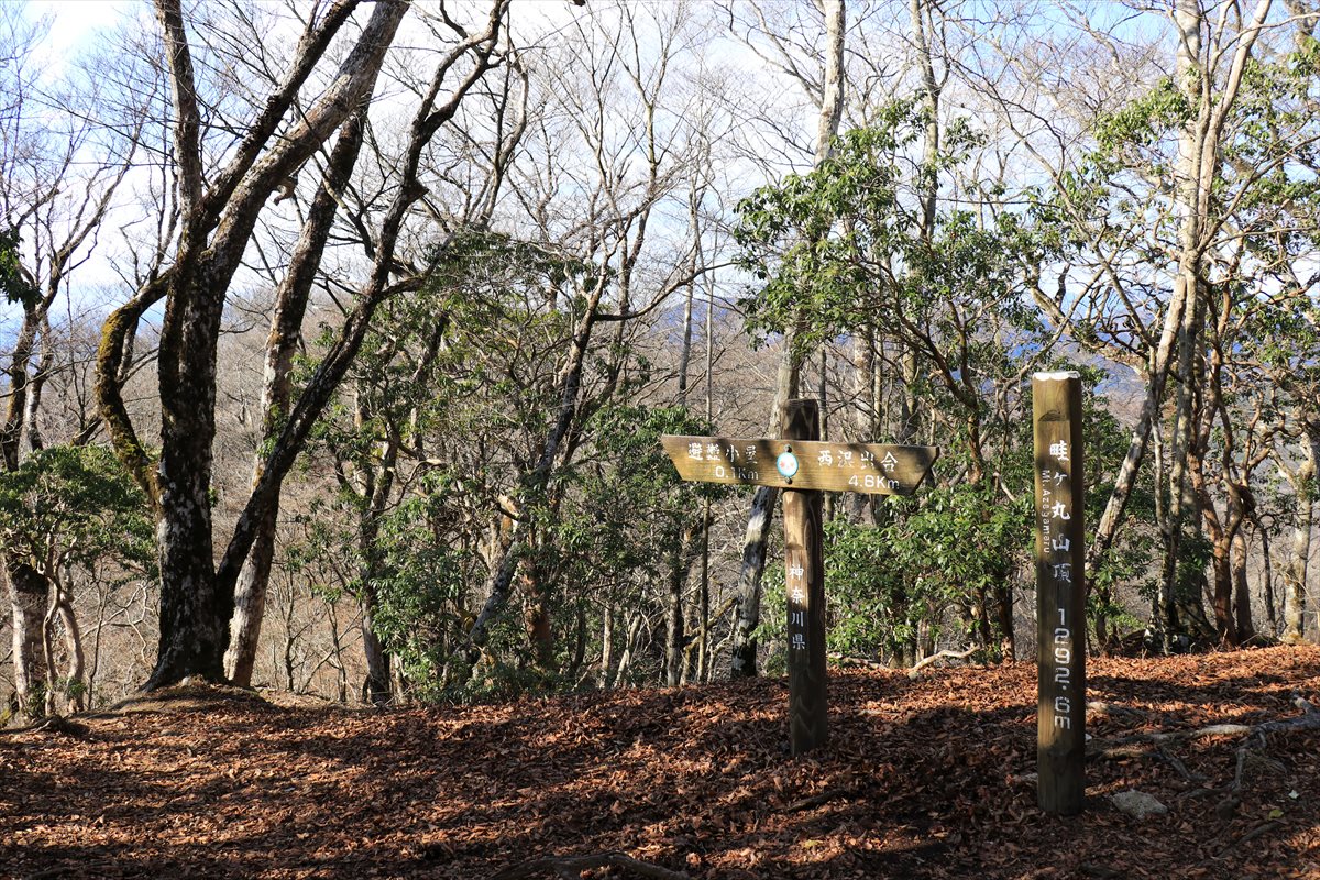 f:id:SISIS:20201209215110j:plain