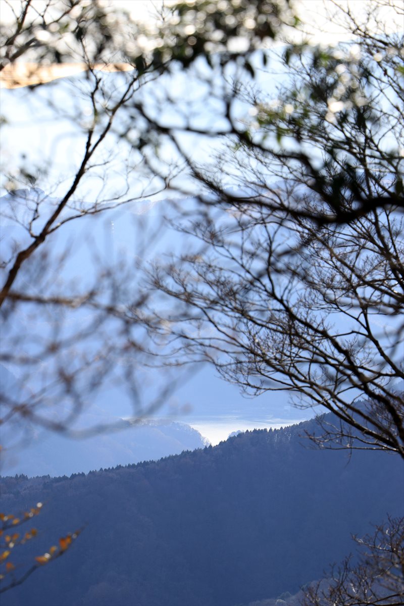 f:id:SISIS:20201209215113j:plain