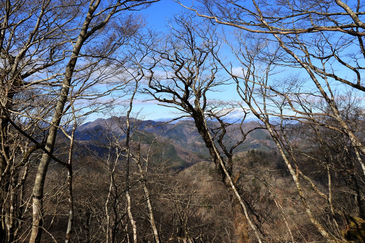 f:id:SISIS:20201209215134j:plain