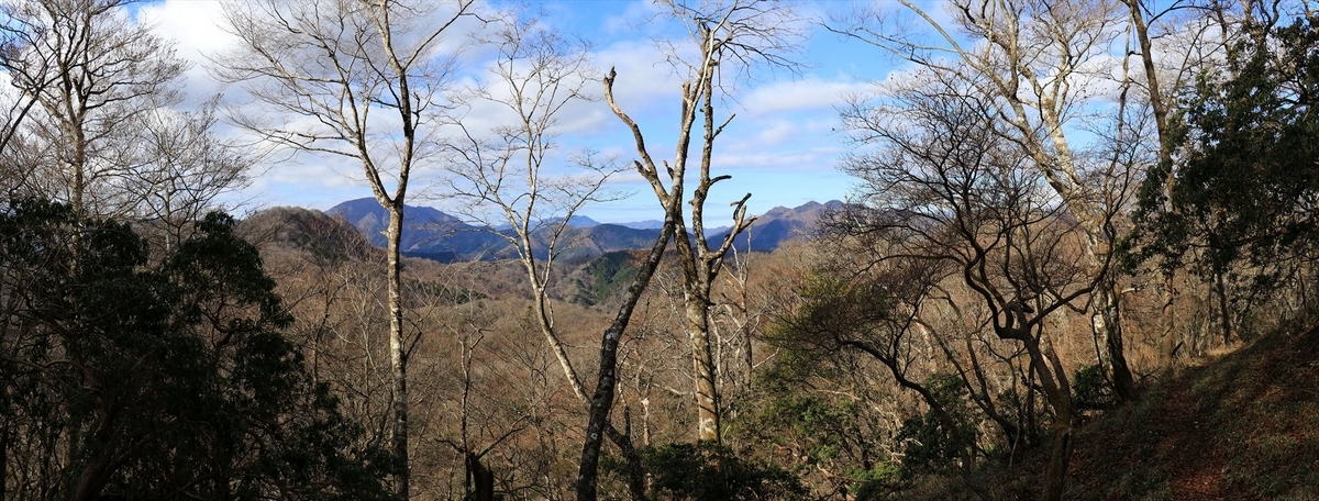 f:id:SISIS:20201209215203j:plain