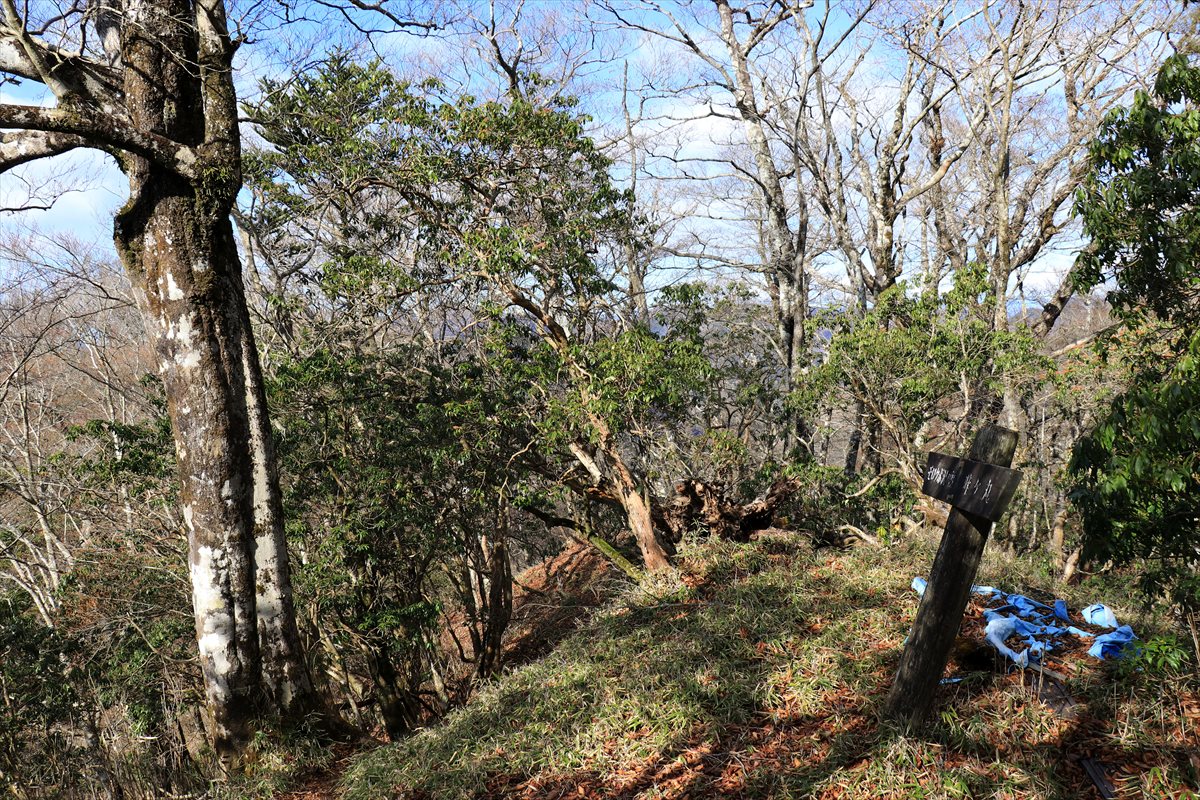 f:id:SISIS:20201209215212j:plain