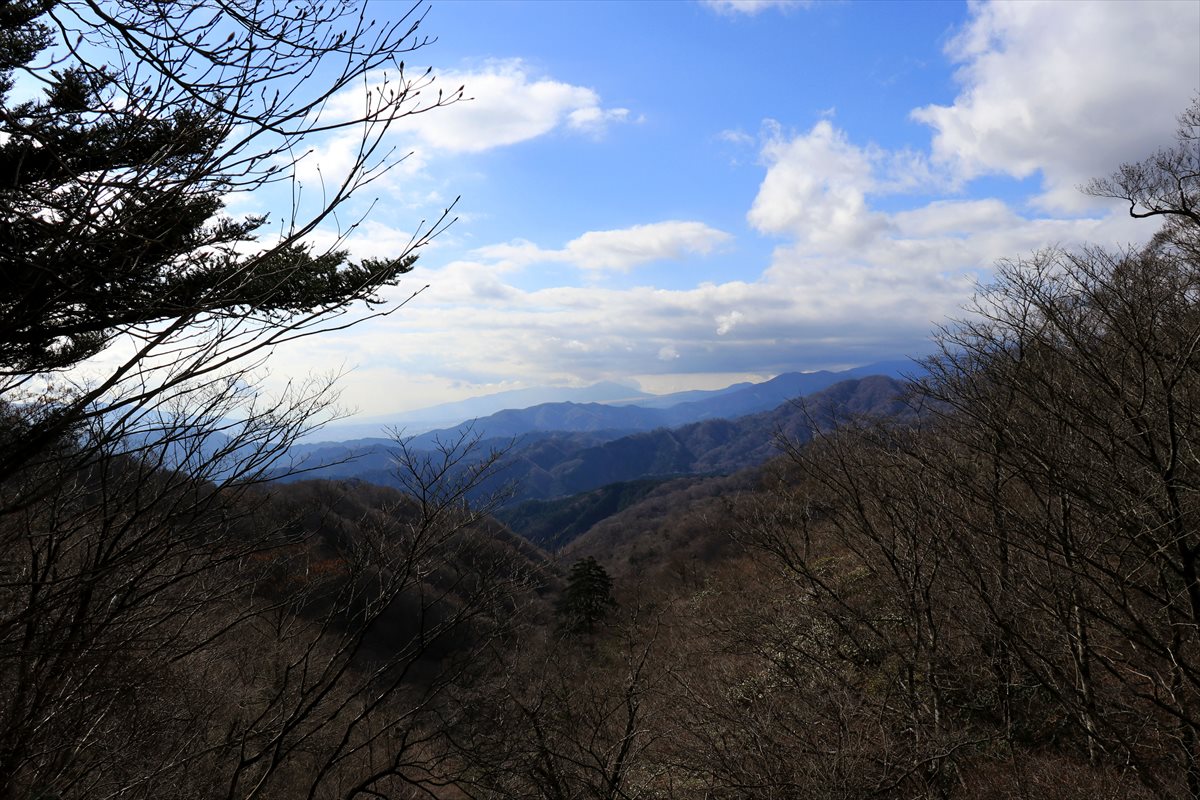 f:id:SISIS:20201209215216j:plain