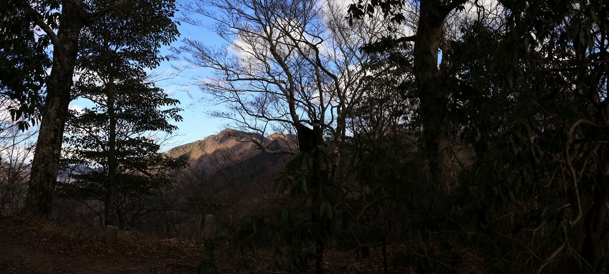 f:id:SISIS:20201209215305j:plain