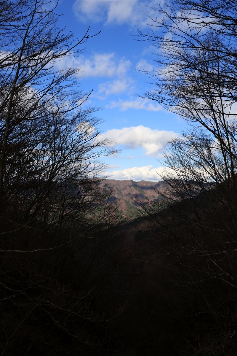 f:id:SISIS:20201209215319j:plain