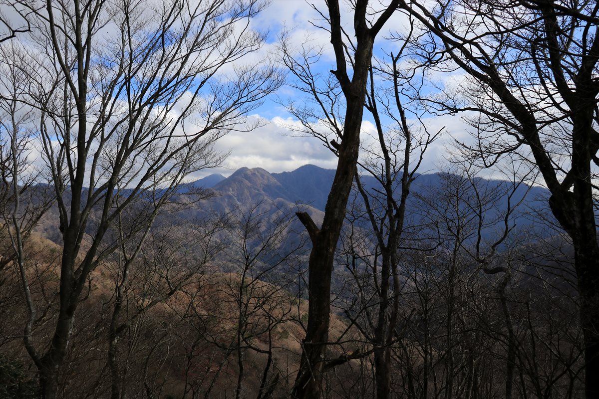 f:id:SISIS:20201209215346j:plain