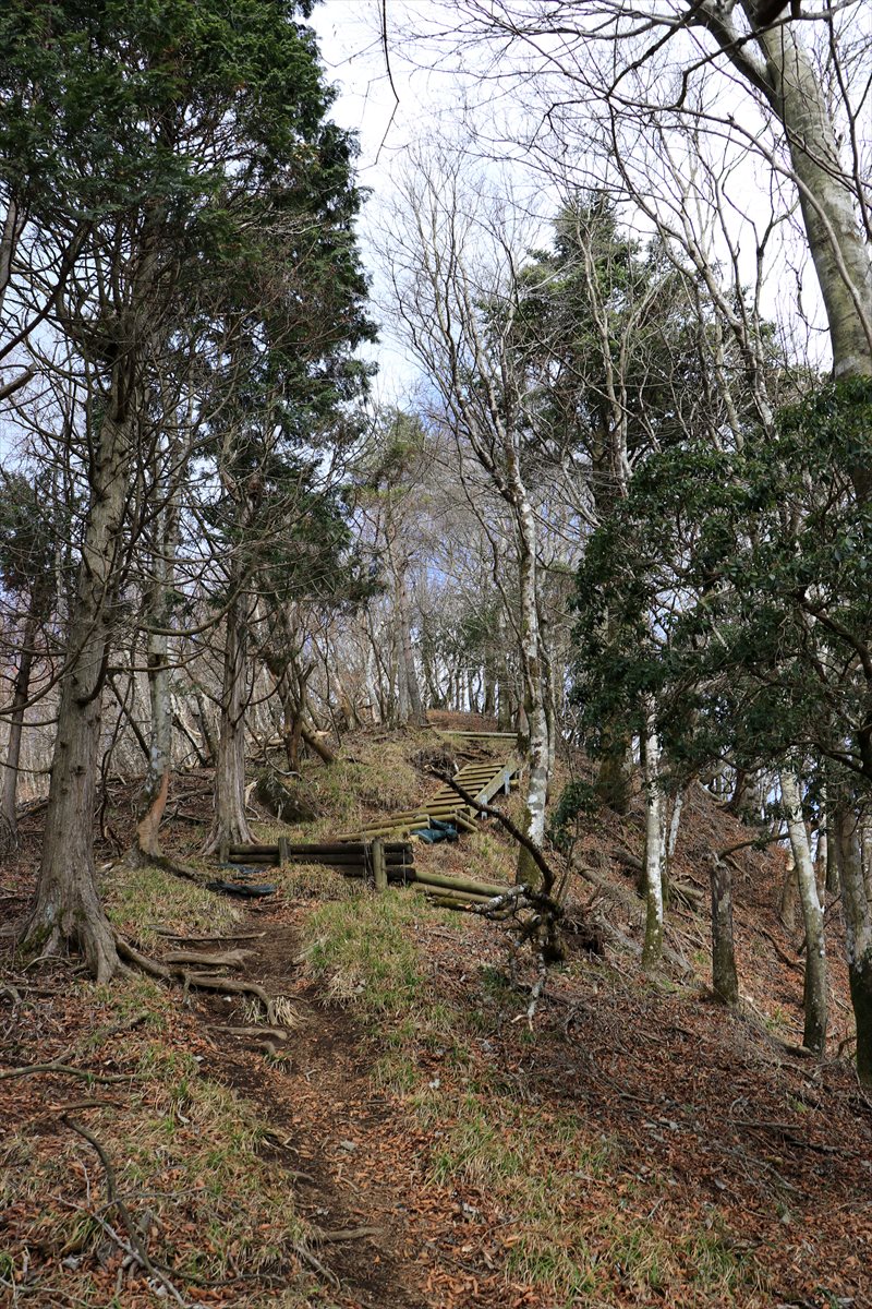 f:id:SISIS:20201209215357j:plain