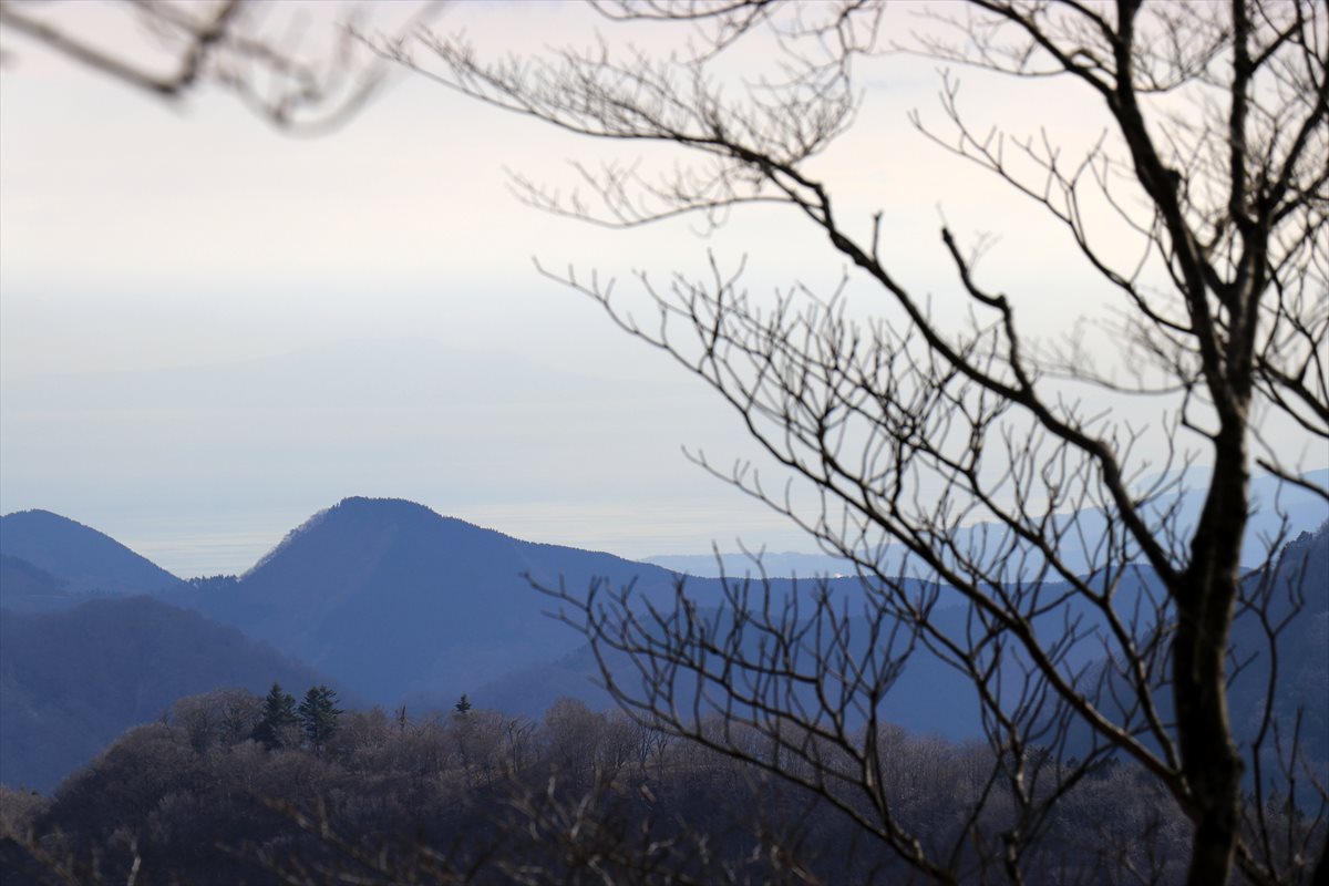 f:id:SISIS:20201209215409j:plain