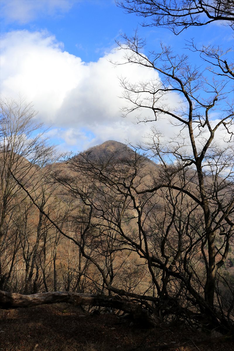 f:id:SISIS:20201209215421j:plain