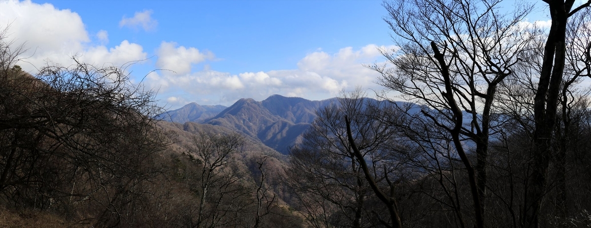 f:id:SISIS:20201209215426j:plain