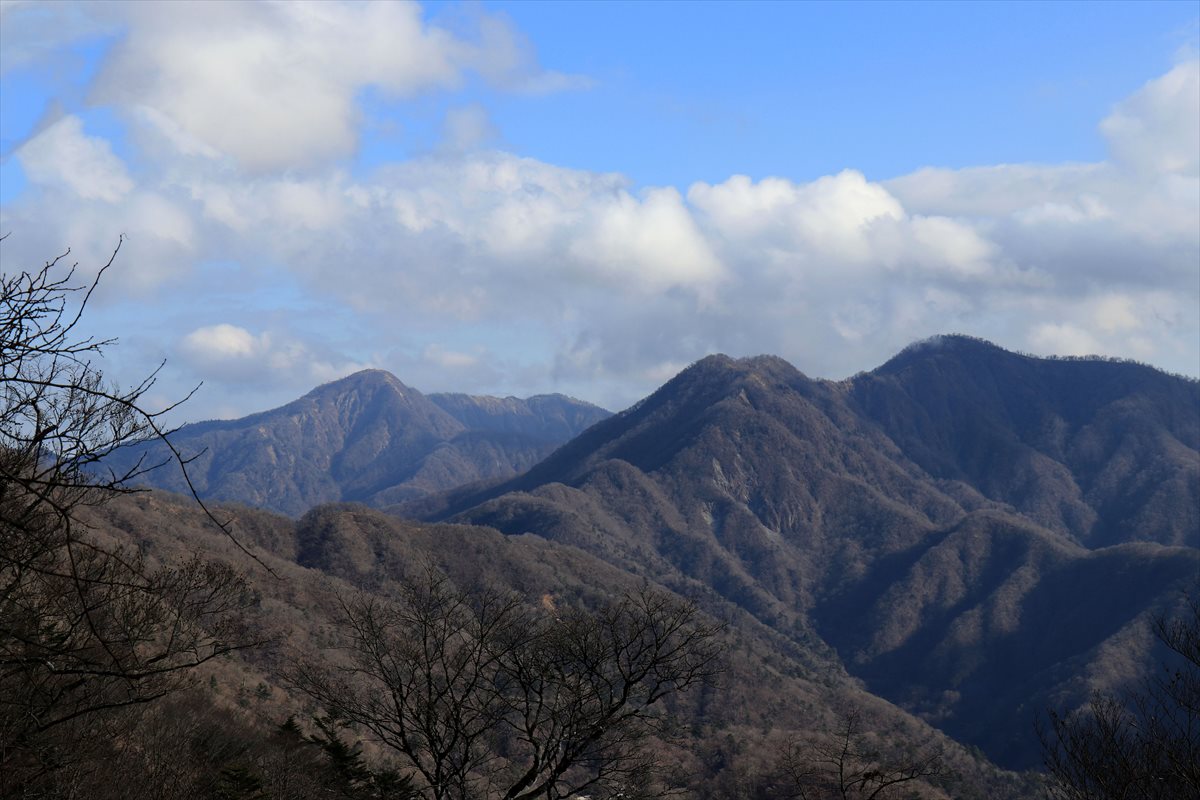 f:id:SISIS:20201209215431j:plain