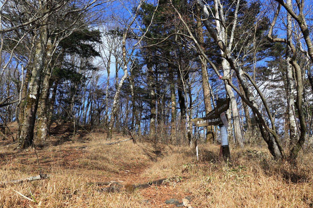 f:id:SISIS:20201209215446j:plain