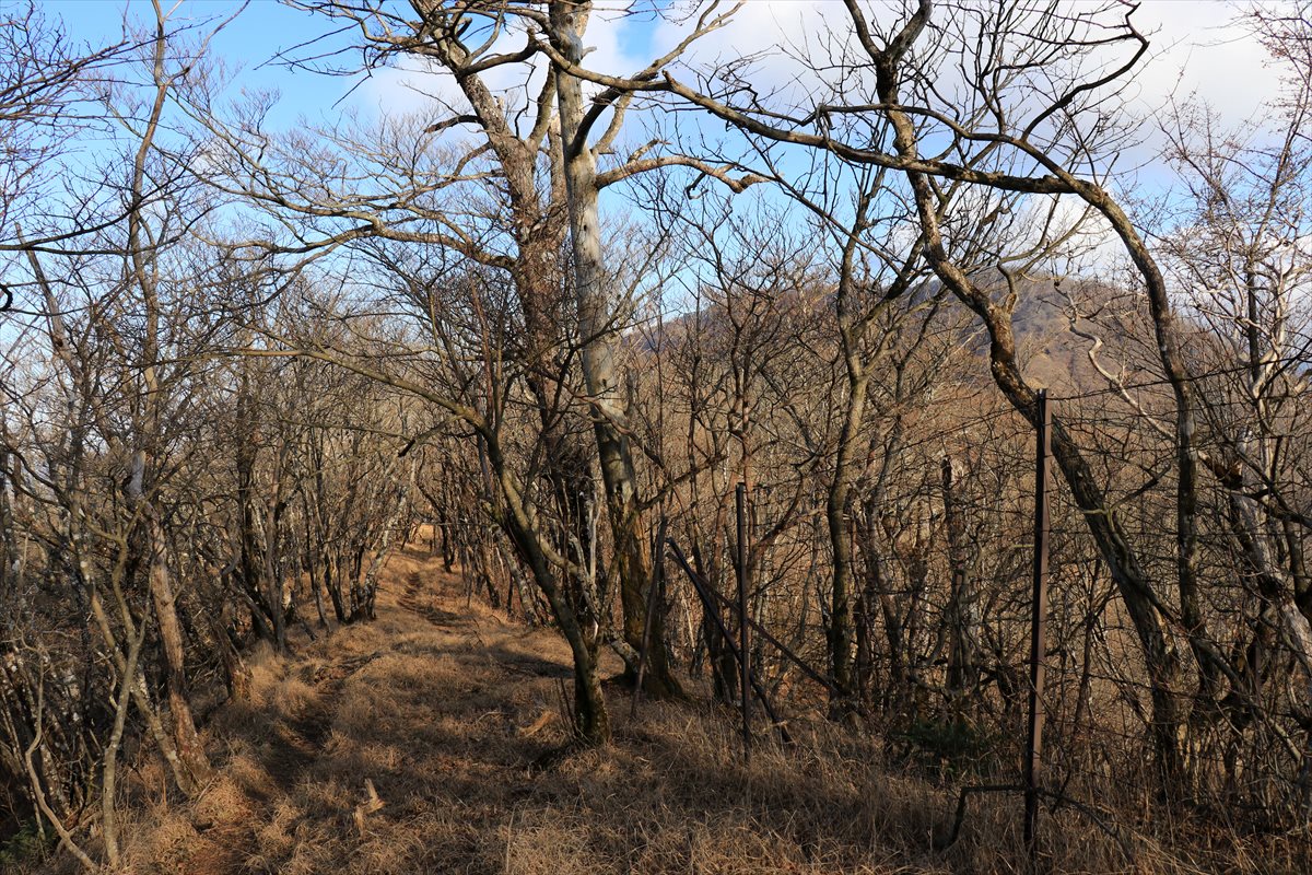 f:id:SISIS:20201209215518j:plain