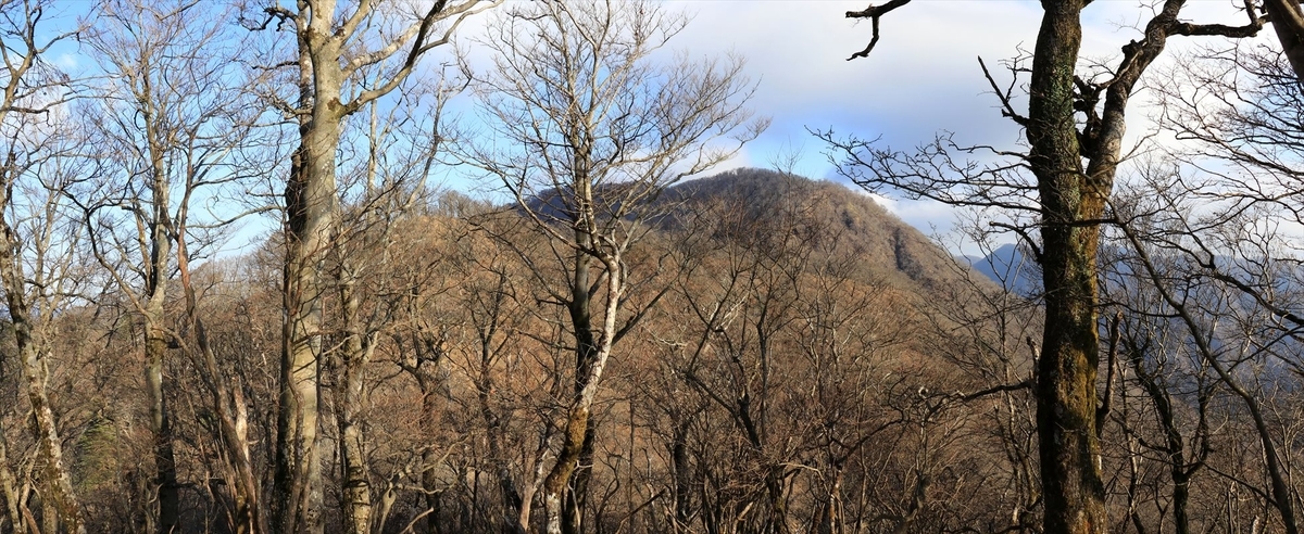 f:id:SISIS:20201209215542j:plain