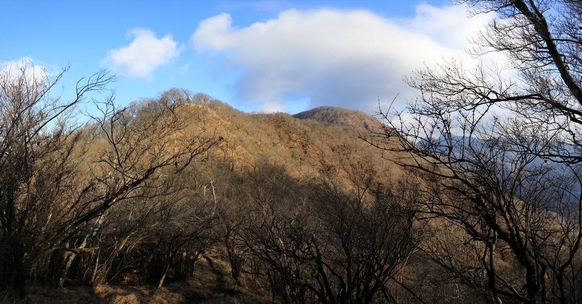 f:id:SISIS:20201209215548j:plain