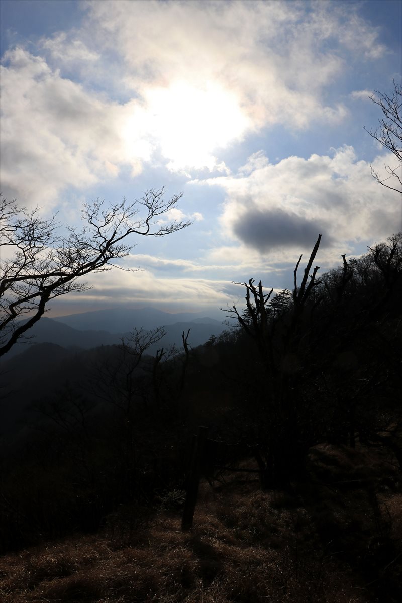 f:id:SISIS:20201209215606j:plain