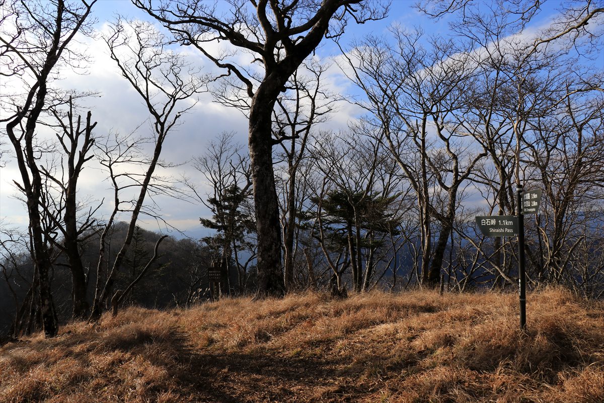 f:id:SISIS:20201209215618j:plain