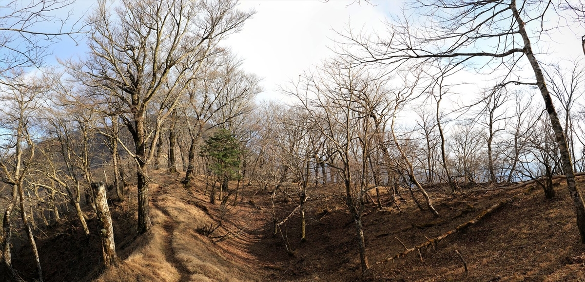 f:id:SISIS:20201209215631j:plain