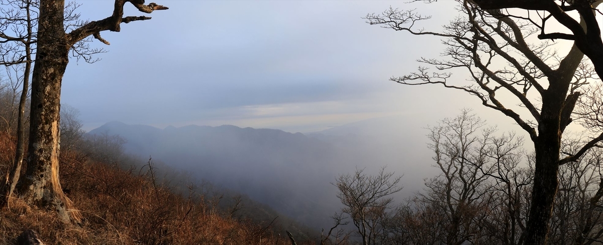 f:id:SISIS:20201209215757j:plain