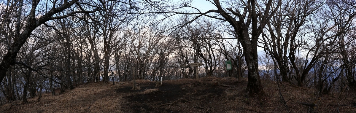 f:id:SISIS:20201209215817j:plain